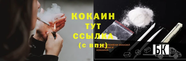 мдпв Верея