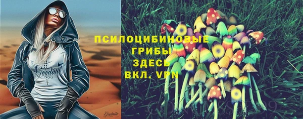 соль курить ск Верхний Тагил
