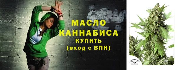 мдпв Верея