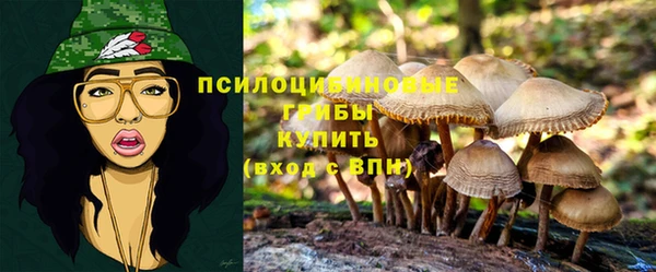 альфа пвп Володарск