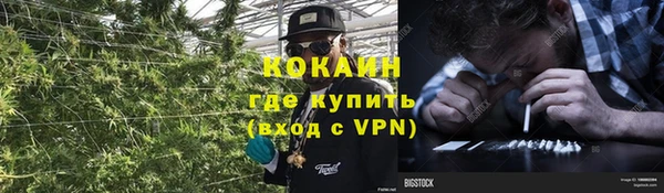 мдпв Верея